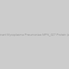 Image of Recombinant Mycoplasma Pneumoniae MPN_027 Protein (aa 1-274)